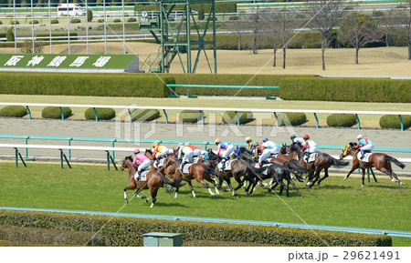 阪神競馬場スタンド前 29621491