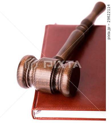 Gavel on red book  29622114