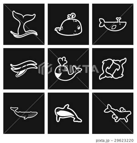assembly stylish black and white icons whales assembly stylish black and white icons whales 29623220