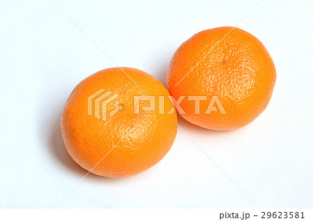 みかん(せとみ) みかん(せとみ) 29623581