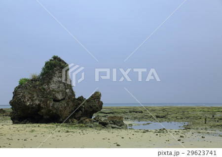 浜辺.2(沖縄県南城市玉城) 浜辺.2(沖縄県南城市玉城) 29623741