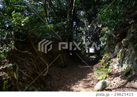 3月 逗子65名越切通第2切通・鎌倉七口 3月 逗子65名越切通第2切通・鎌倉七口 29625415