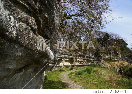 3月 逗子69お猿畠の大切岸・石切り場 3月 逗子69お猿畠の大切岸・石切り場 29625419