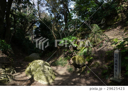 3月　逗子73名越切通第3切通・鎌倉七口 29625423