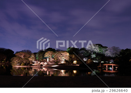 六義園　夜景 29626640