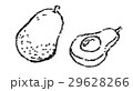 アボカド イラスト 線画 白黒 白バック アボカド イラスト 線画 白黒 白バック 29628266