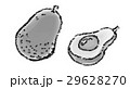 アボカド イラスト 白黒 アボカド イラスト 白黒 29628270