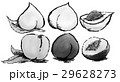 桃 イラスト 白黒 桃 イラスト 白黒 29628273