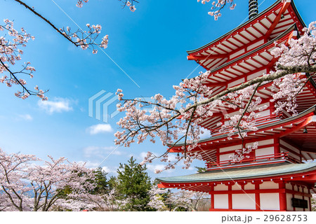 桜のある風景 29628753