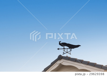 Weathervane with peacock 29629398