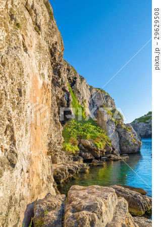 Cales coves cliffs in the evening sunlight. 29629508