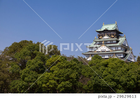 大阪城 天守閣 大阪城 天守閣 29629613