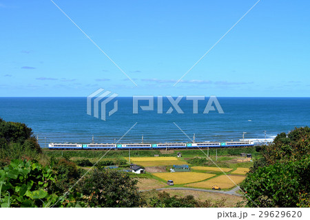 海沿いを行く485系3000番台特急いなほ 海沿いを行く485系3000番台特急いなほ 29629620