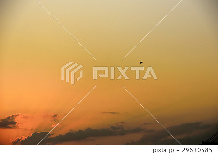 夕焼けと戦闘機 夕焼けと戦闘機 29630585