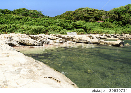 夏の観音崎海岸 磯場 夏の観音崎海岸 磯場 29630734