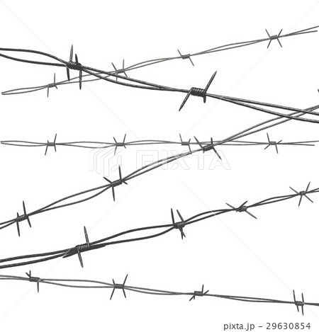 Coil of Steel Barbed Wire 29630854