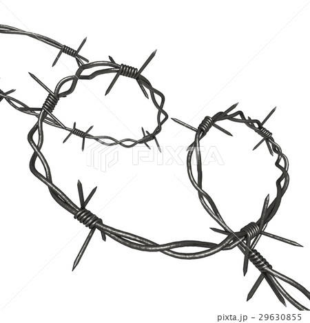 Coil of Steel Barbed Wire 29630855