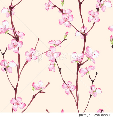 Blossom. Watercolor seamless floral pattern Blossom. Watercolor seamless floral pattern 29630991