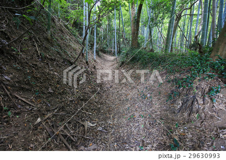 愛媛県今治市 小島 中部砲台 司令塔迂廻路 愛媛県今治市 小島 中部砲台 司令塔迂廻路 29630993