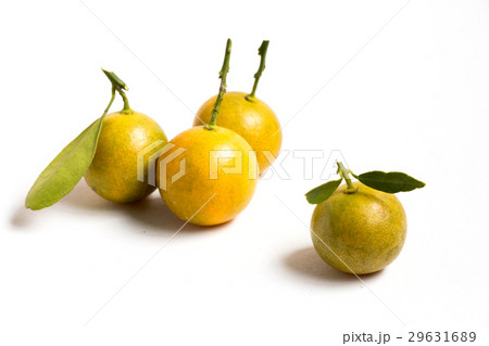 Closed up of kumquat orange that placed Closed up of kumquat orange that placed 29631689
