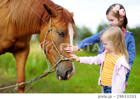 Two cute little sisters petting a horse in countryside 29633203