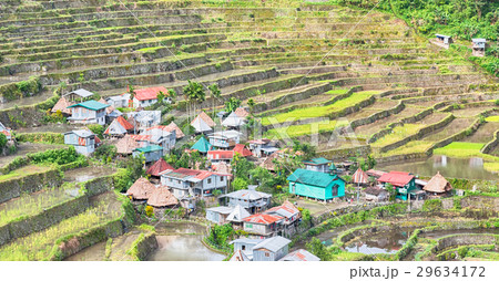terrace   field for  coultivation of rice 29634172