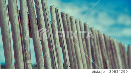 in a   cloudy sky  lots bamboo stick for    29634299