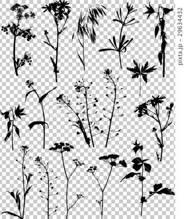 Silhouettes flowers and plants 29634432