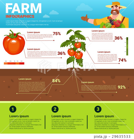 Farming Infographics Eco Friendly Organic Natural 29635533