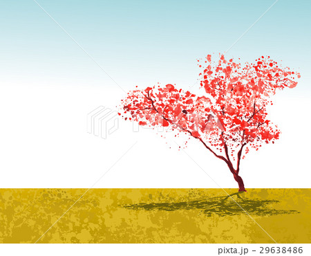 Sakura tree wallpaper with sky 29638486