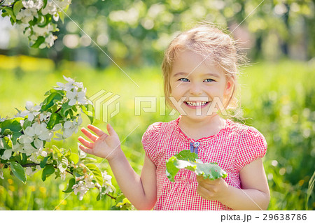 Happy little girl in apple tree garden 29638786