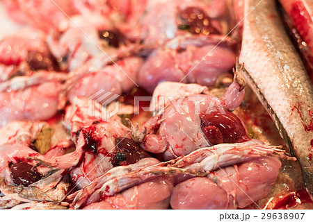 meat of frog 29638907