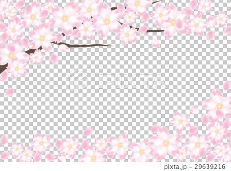 桜の木のフレームのイラスト素材