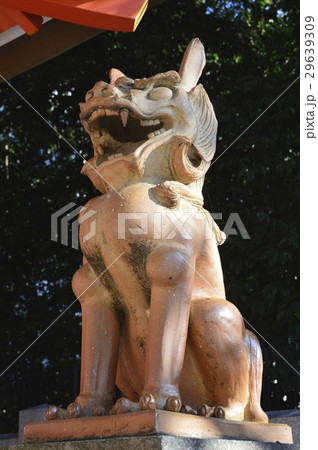 狛犬(阿形像)（生田神社･境内社 蛭子神社／兵庫県神戸市中央区） 29639309