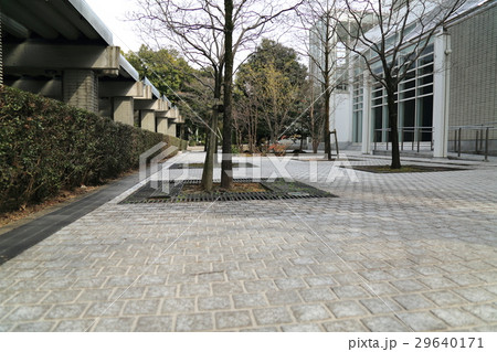 午後の美術館.6（岐阜県岐阜市宇佐：岐阜県美術館） 29640171