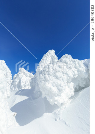 山形蔵王_快晴と樹氷群 山形蔵王_快晴と樹氷群 29640882