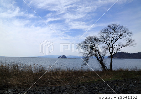 早春の湖北.1（滋賀県長浜市湖北町今西） 29641162