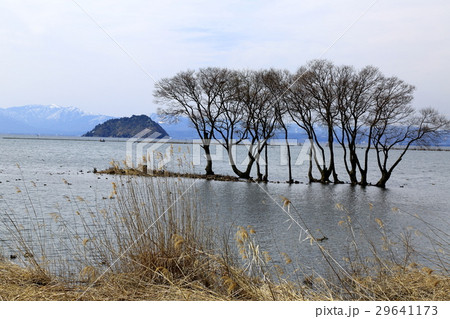 早春の湖北.13(滋賀県長浜市湖北町今西) 早春の湖北.13(滋賀県長浜市湖北町今西) 29641173