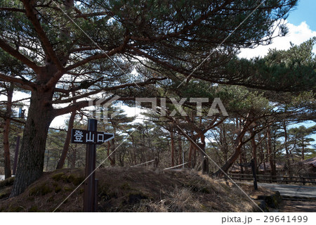 韓国岳登山口 韓国岳登山口 29641499