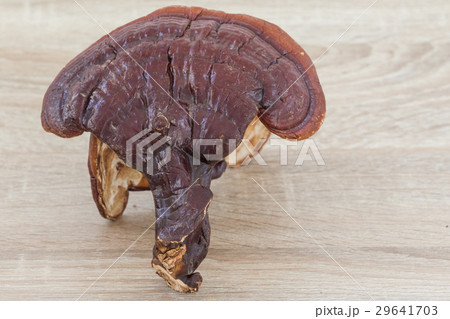Ganoderma Lucidum Mushroom on wood background 29641703