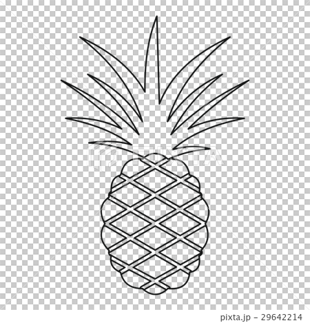 Pineapple icon, outline style Pineapple icon, outline style 29642214