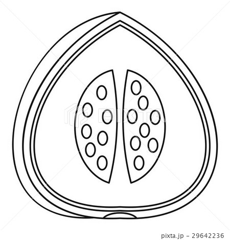 Watermelon icon, outline style Watermelon icon, outline style 29642236