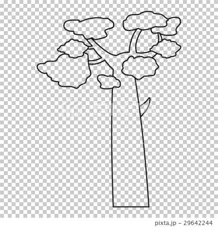 Baobab icon, outline style 29642244
