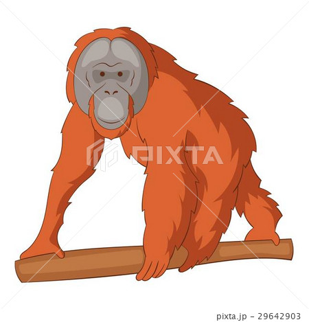 Orangutan icon, cartoon style Orangutan icon, cartoon style 29642903