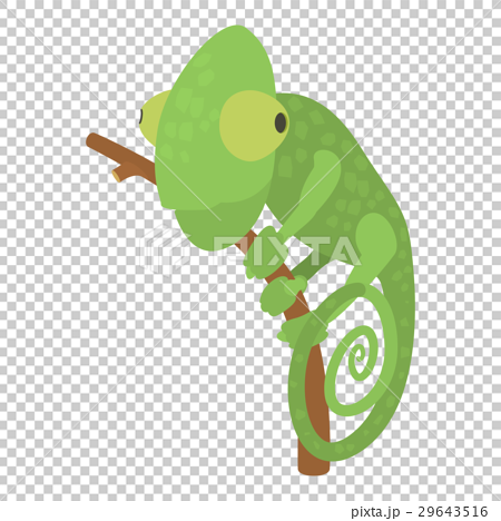 Chameleon Icon Cartoon Styleのイラスト素材