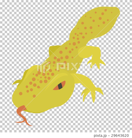 Spotted lizard icon, cartoon style Spotted lizard icon, cartoon style 29643620