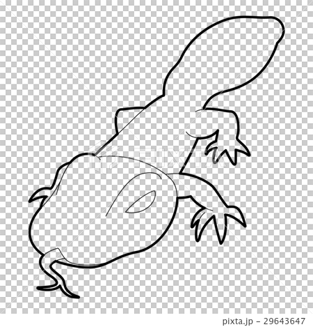 Spotted lizard icon, outline style Spotted lizard icon, outline style 29643647