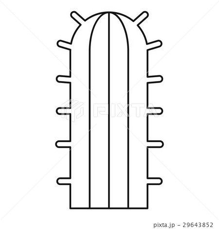 Cactus plant icon, outline style 29643852