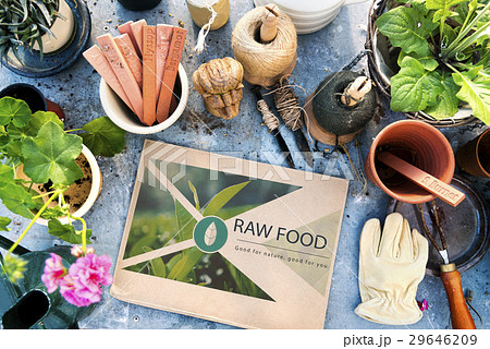 Fresh Food Healthy Lifestyle Organic 29646209