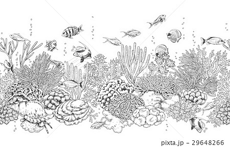 Coral Reef And Fishes Patternのイラスト素材 Coral Reef And Fishes Patternのイラスト素材